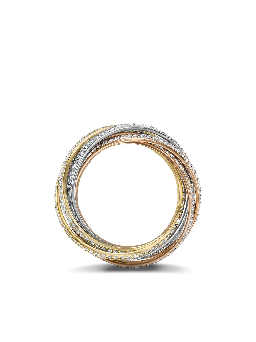 Pest Control Services